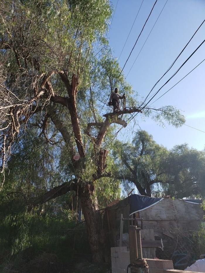 ITH Landscape - West Covina, CA