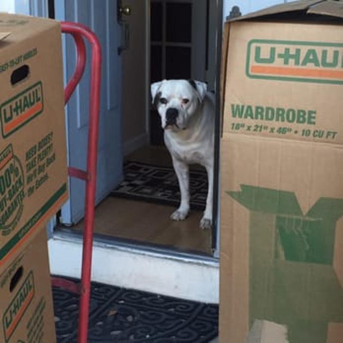 Method Moving and Storage - Glendale, AZ