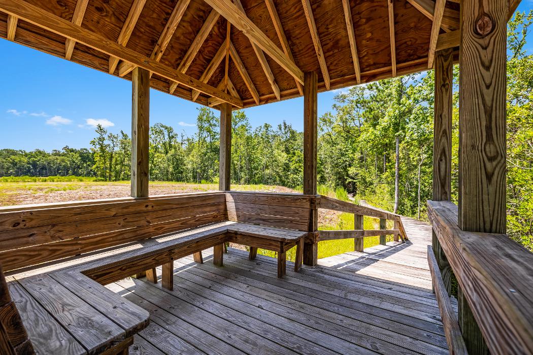 LGI Homes - New South Bridge Image