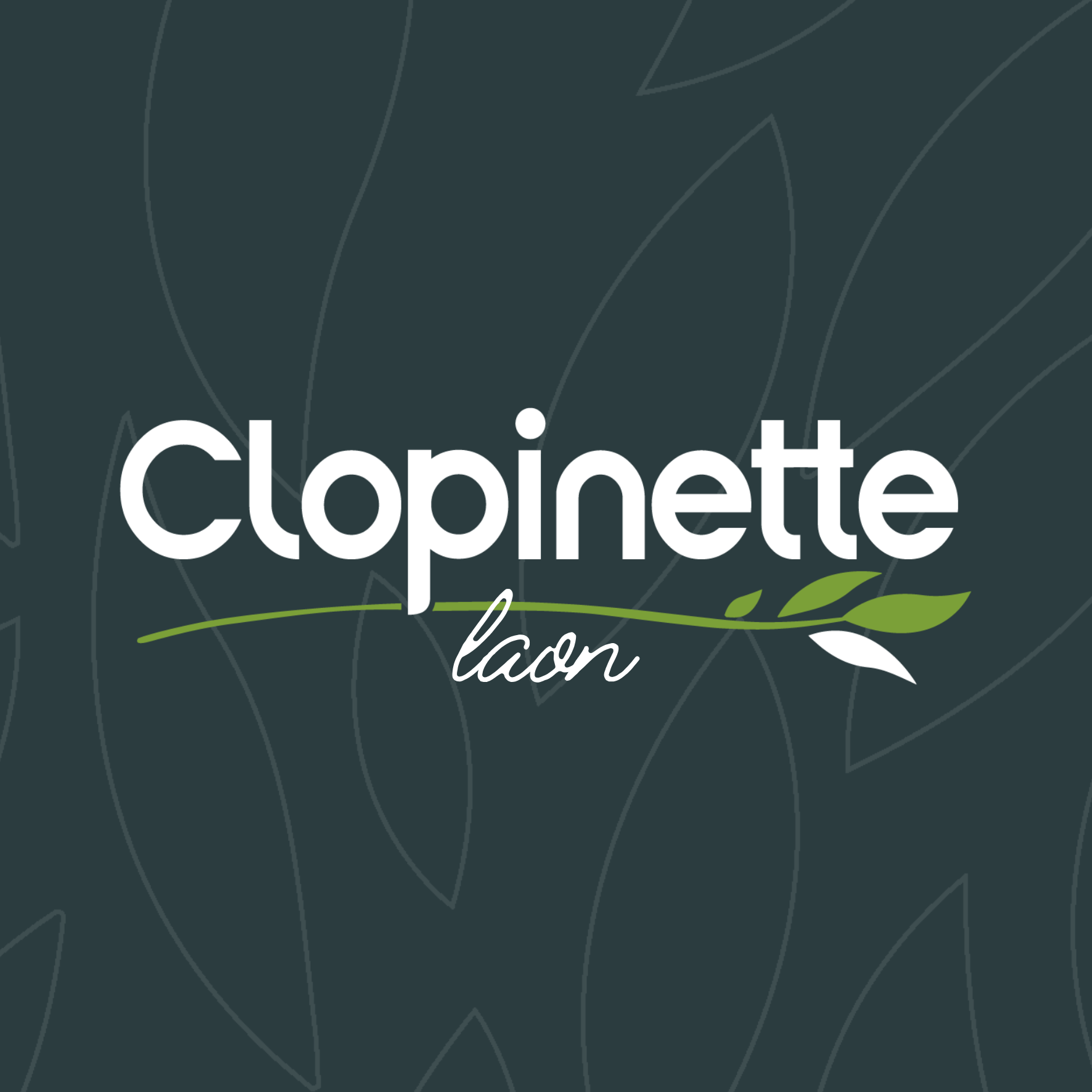 Clopinette Cigarette Électronique entrepôt et magasin général