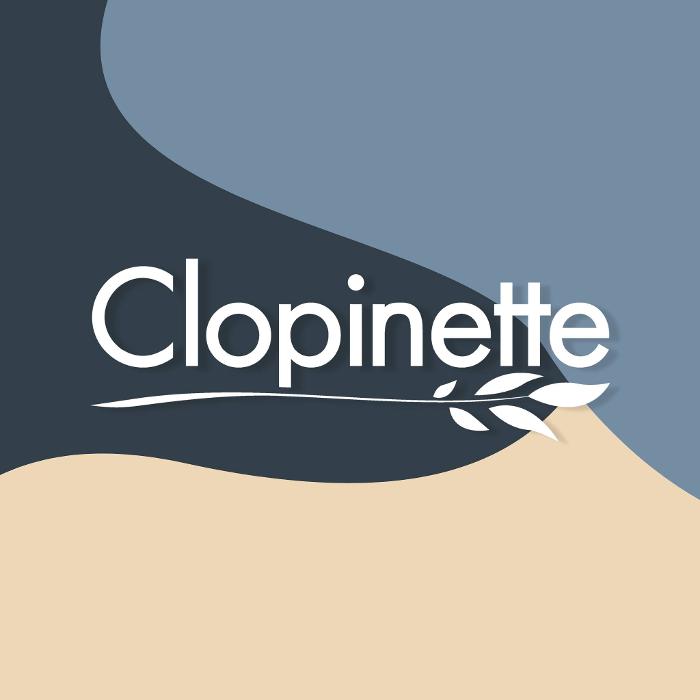Clopinette Cigarette Électronique entrepôt et magasin général