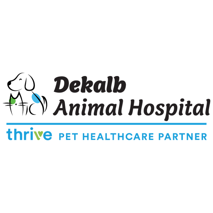 Dekalb Animal Hospital Logo