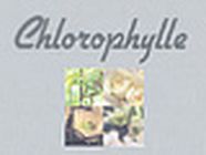 Chlorophylle fleuriste
