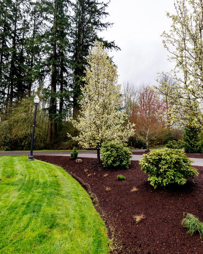 Simple Lawns & Landscape Design - Vancouver, WA