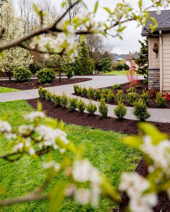 Simple Lawns & Landscape Design - Vancouver, WA