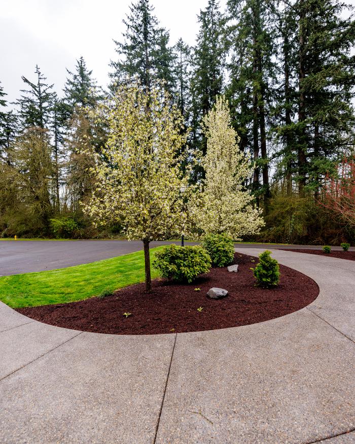 Simple Lawns & Landscape Design - Vancouver, WA