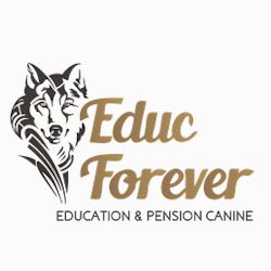 Educ-Forever dressage animal