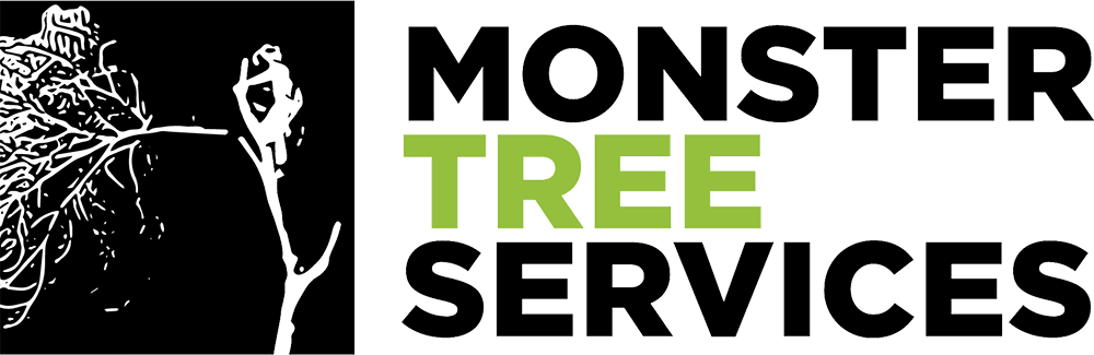 Monster Tree Services Basingstoke 07872 567381