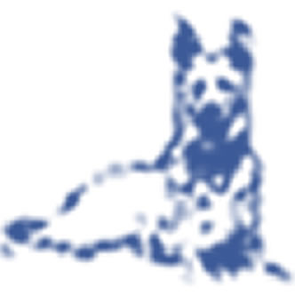 Best Buddy Dog Training