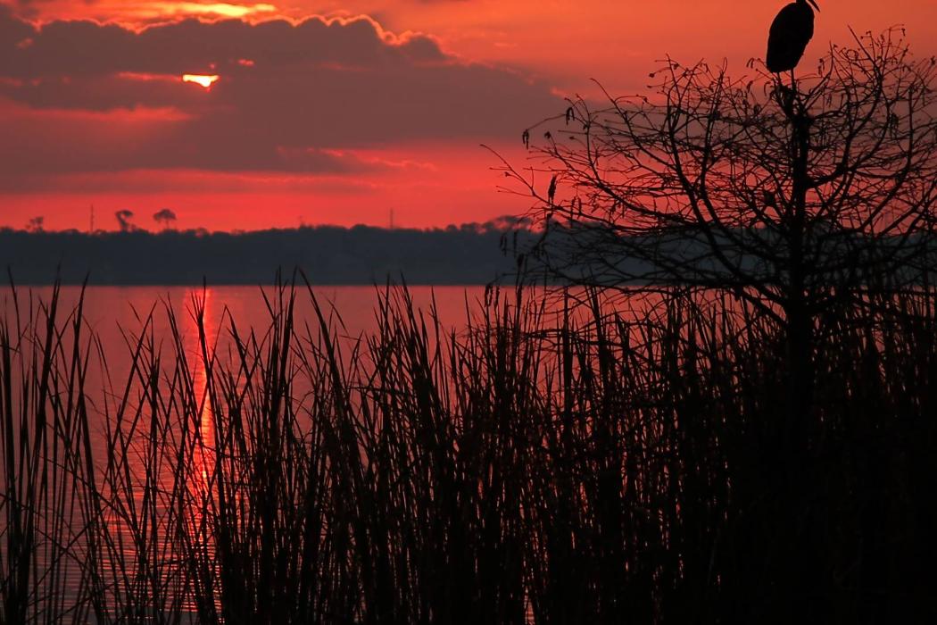 iTrip Lakes of Central Florida - Zephyrhills, FL