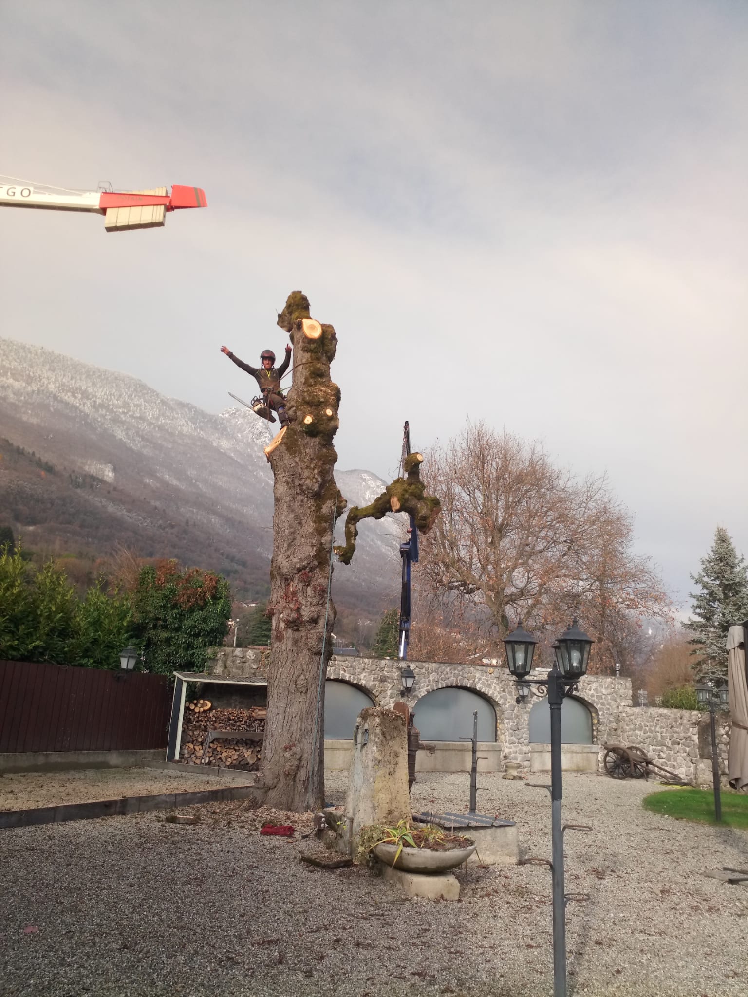 Miniature de la galerie