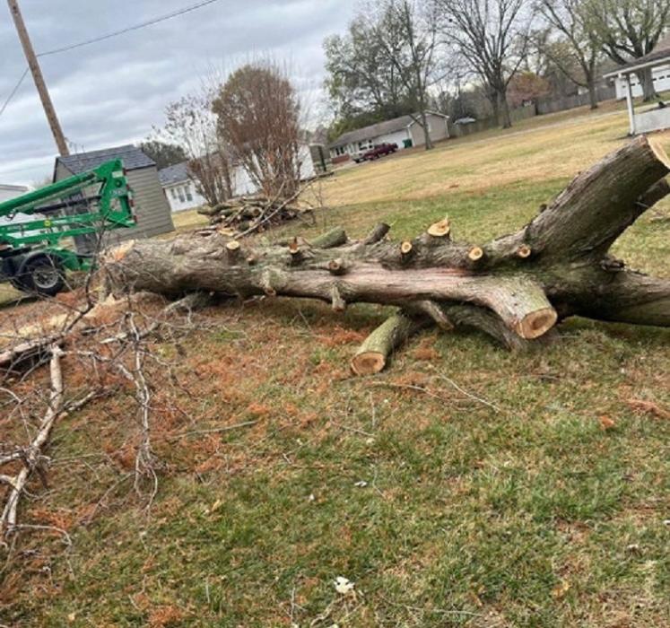 Countryside - Chaffee, MO
