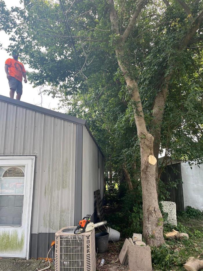 Countryside - Chaffee, MO