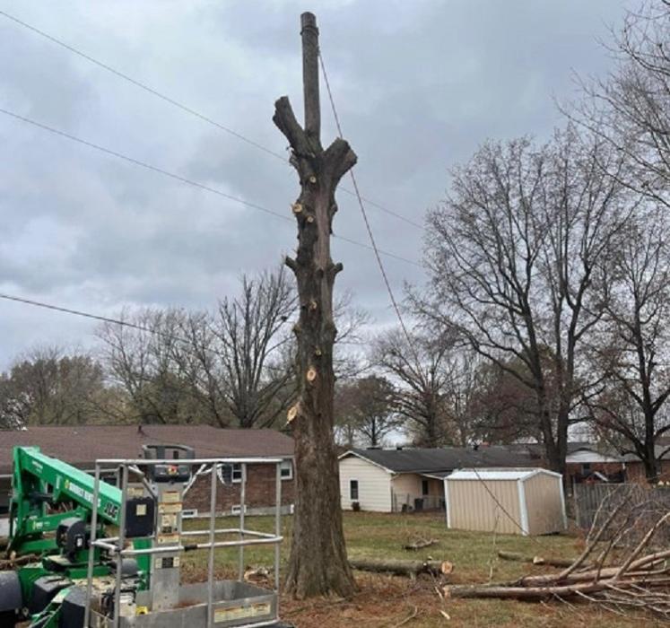 Countryside - Chaffee, MO