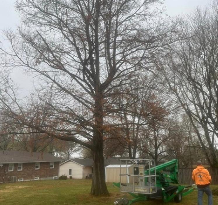 Countryside - Chaffee, MO