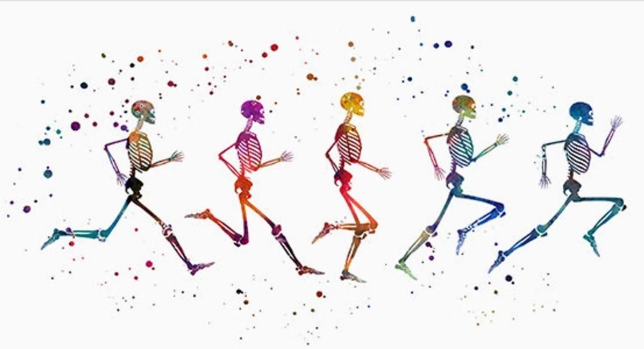 Dr. Katharina Stadlmann in Leopoldsdorf bei Wien