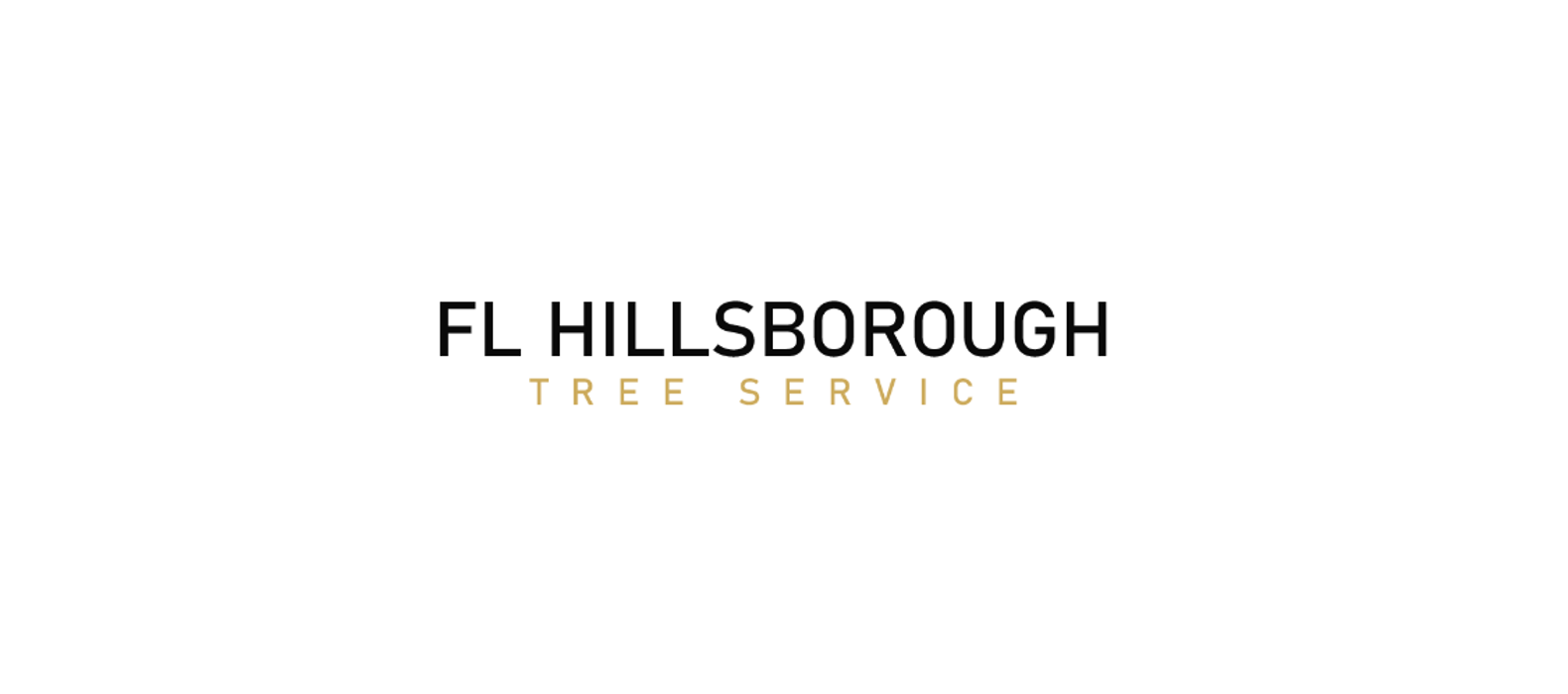 FL Hillsborough Tree Service - Tampa, FL