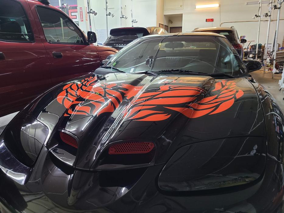 Elite Auto PRO Colorado Springs - Ceramic Coatings, Paint Protection Film, Auto Films, Car Wraps and Auto Graphics - Colorado Springs, CO