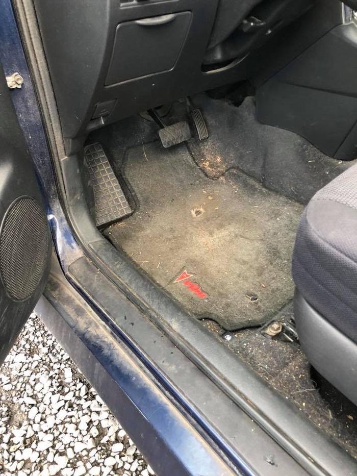 Elite Auto PRO Colorado Springs - Ceramic Coatings, Paint Protection Film, Auto Films, Car Wraps and Auto Graphics - Colorado Springs, CO