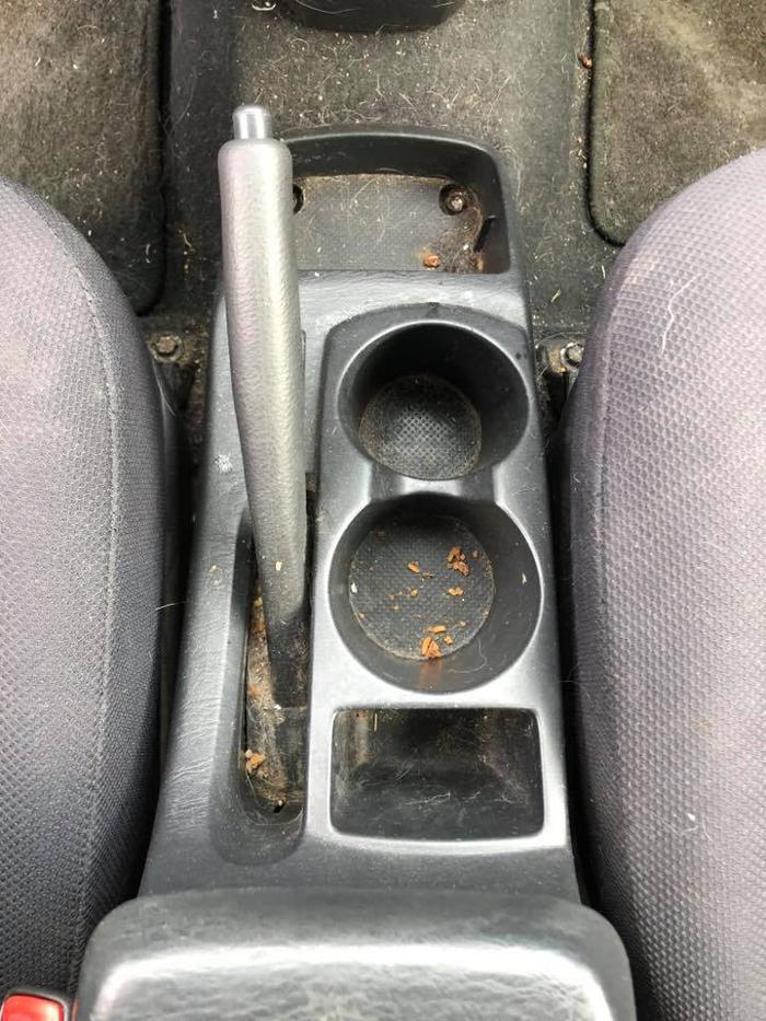 Elite Auto PRO Colorado Springs - Ceramic Coatings, Paint Protection Film, Auto Films, Car Wraps and Auto Graphics - Colorado Springs, CO