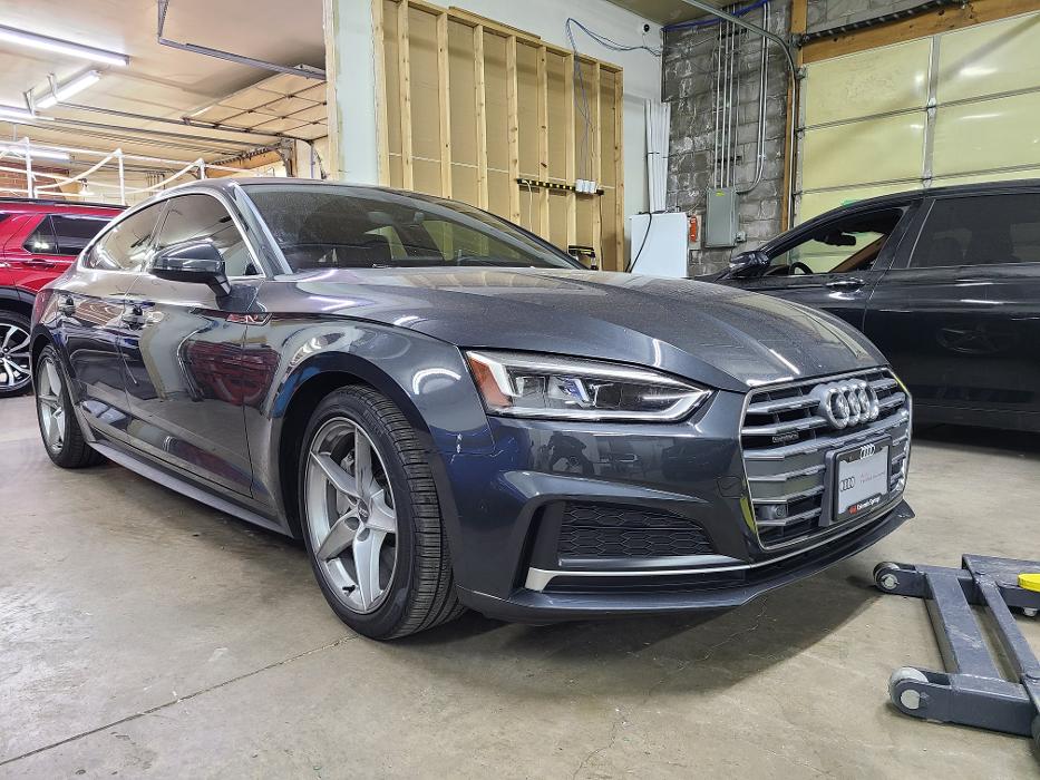 Elite Auto PRO Colorado Springs - Ceramic Coatings, Paint Protection Film, Auto Films, Car Wraps and Auto Graphics - Colorado Springs, CO