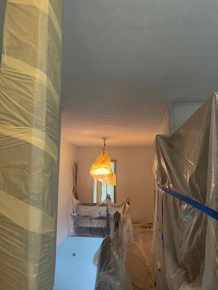 GAFMEK Interior and Exterior Painting - Grand Rapids, MI