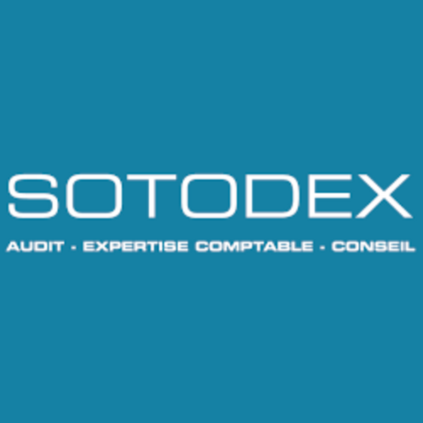 Sotodex commissaire aux comptes