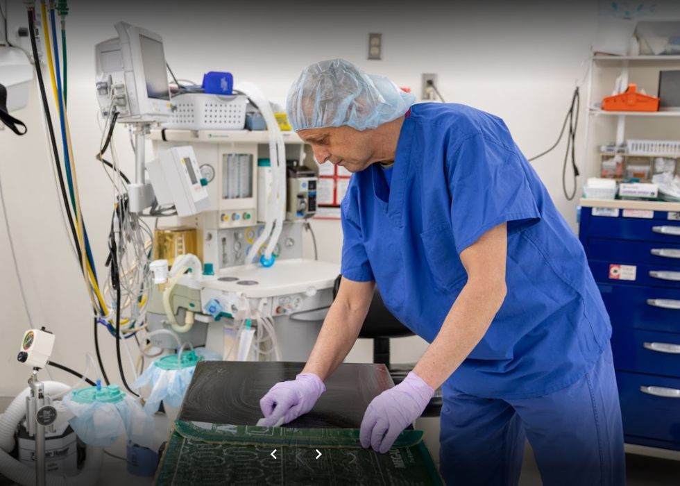 Environ Commercial Services - Anchorage, AK