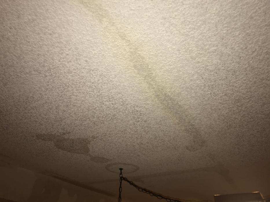 Rex Environmental Logo