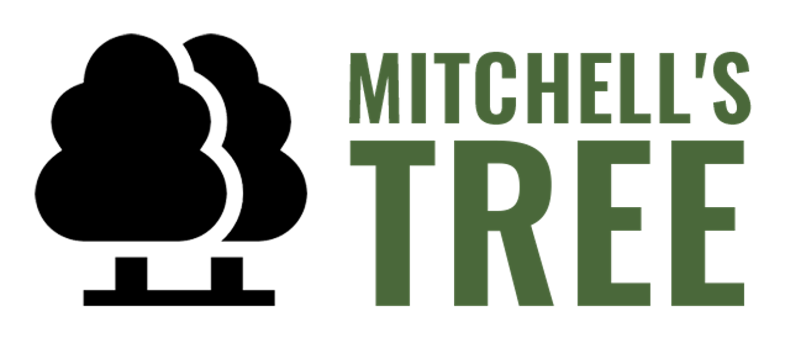 Mitchell's Tree - Jenks, OK