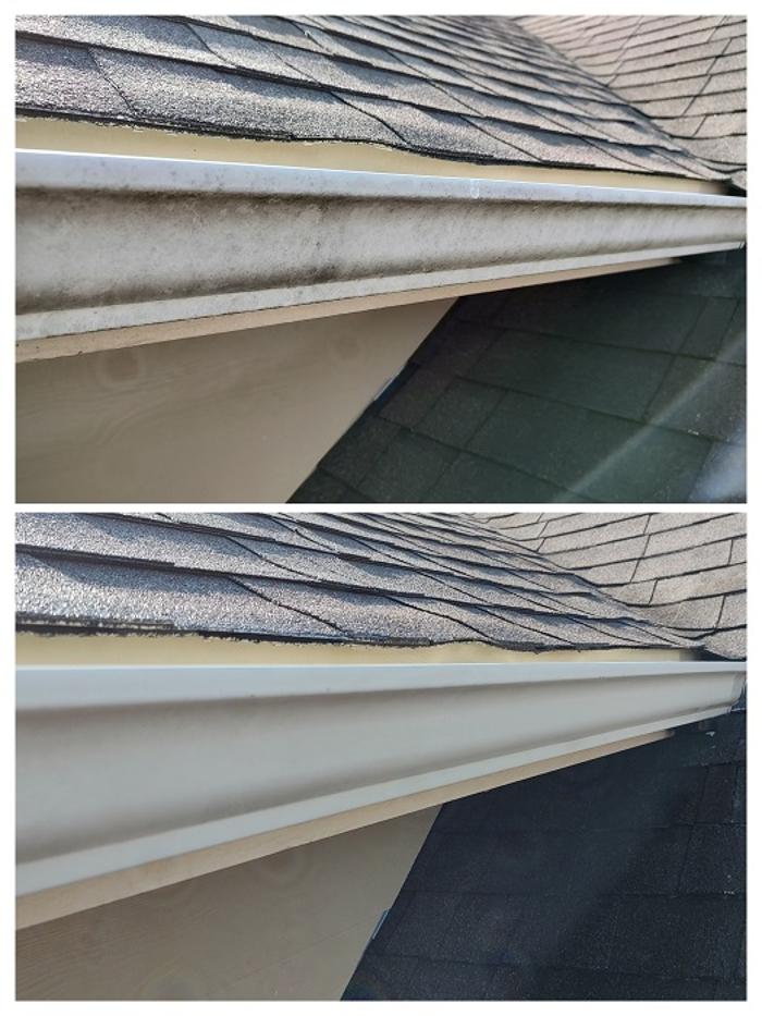 All Git Out Services Image