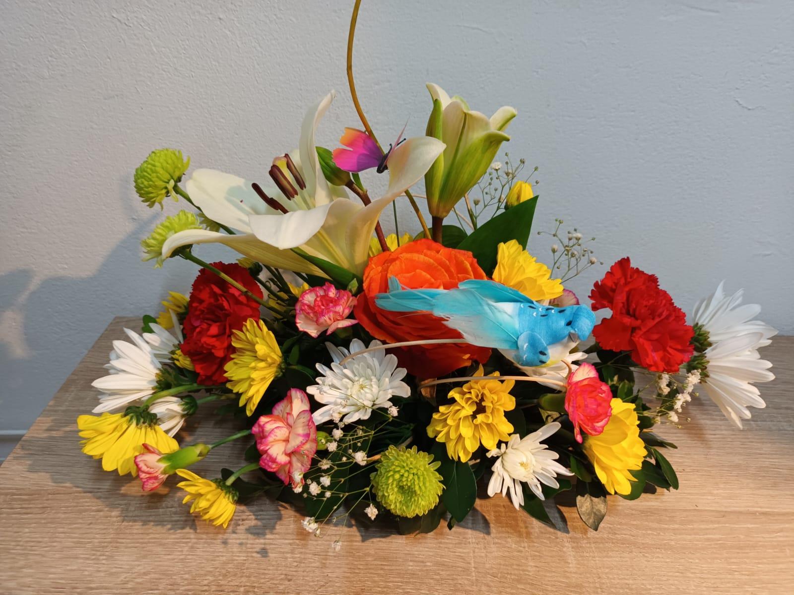 galerie image galerie image