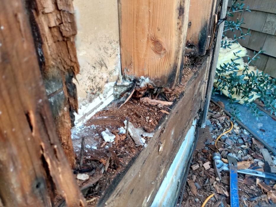 Busy Beaver Construction LLC - Coeur d Alene, ID