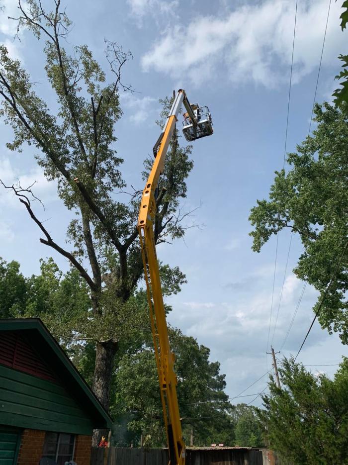 Ford's Tree Work - Jena, LA