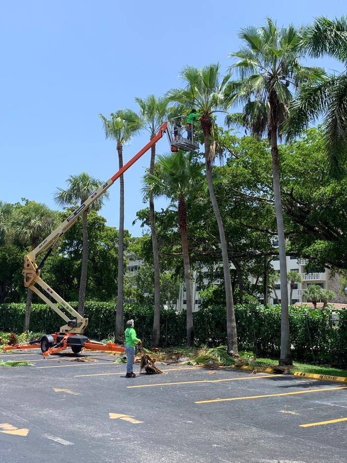 Central Lawn Maintenance - Fort Lauderdale, FL