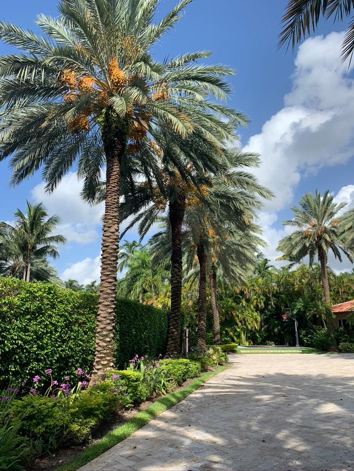 Central Lawn Maintenance - Fort Lauderdale, FL