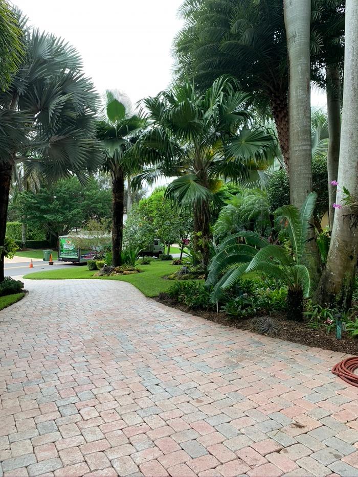 Central Lawn Maintenance - Fort Lauderdale, FL