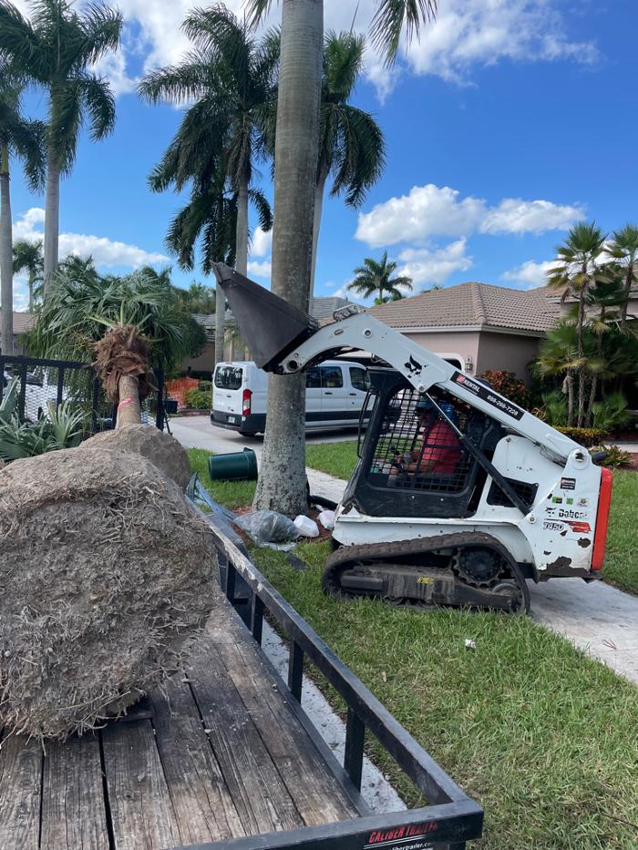 Central Lawn Maintenance - Fort Lauderdale, FL