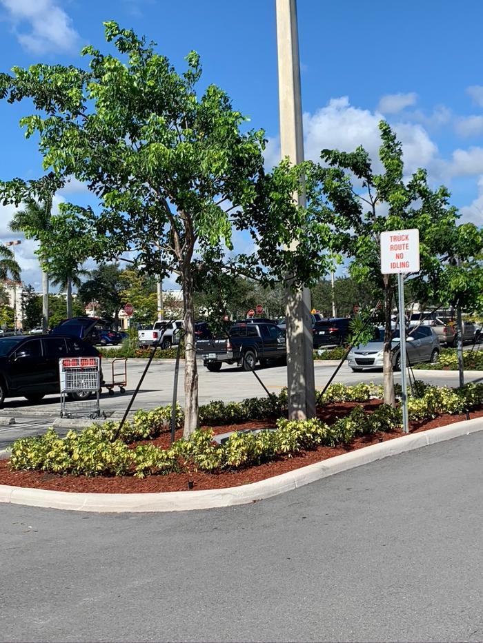 Central Lawn Maintenance - Fort Lauderdale, FL
