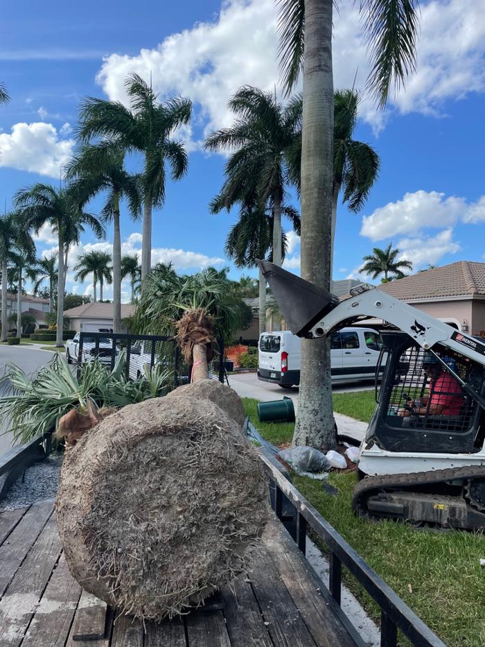 Central Lawn Maintenance - Fort Lauderdale, FL