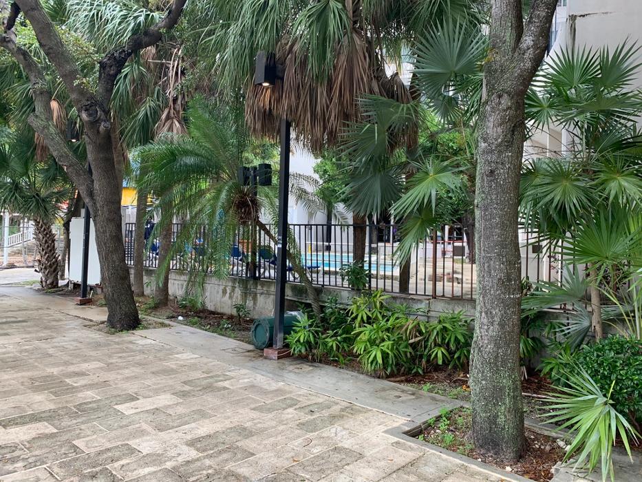 Central Lawn Maintenance - Fort Lauderdale, FL