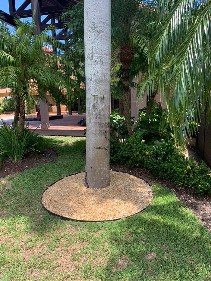 Central Lawn Maintenance - Fort Lauderdale, FL
