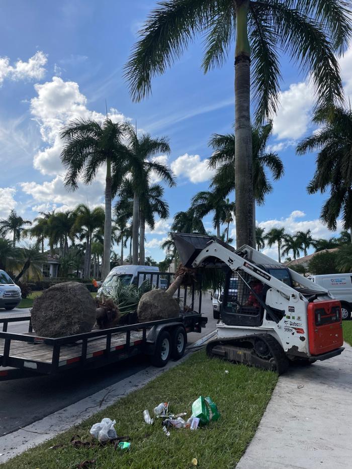 Central Lawn Maintenance - Fort Lauderdale, FL