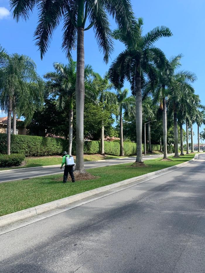 Central Lawn Maintenance - Fort Lauderdale, FL