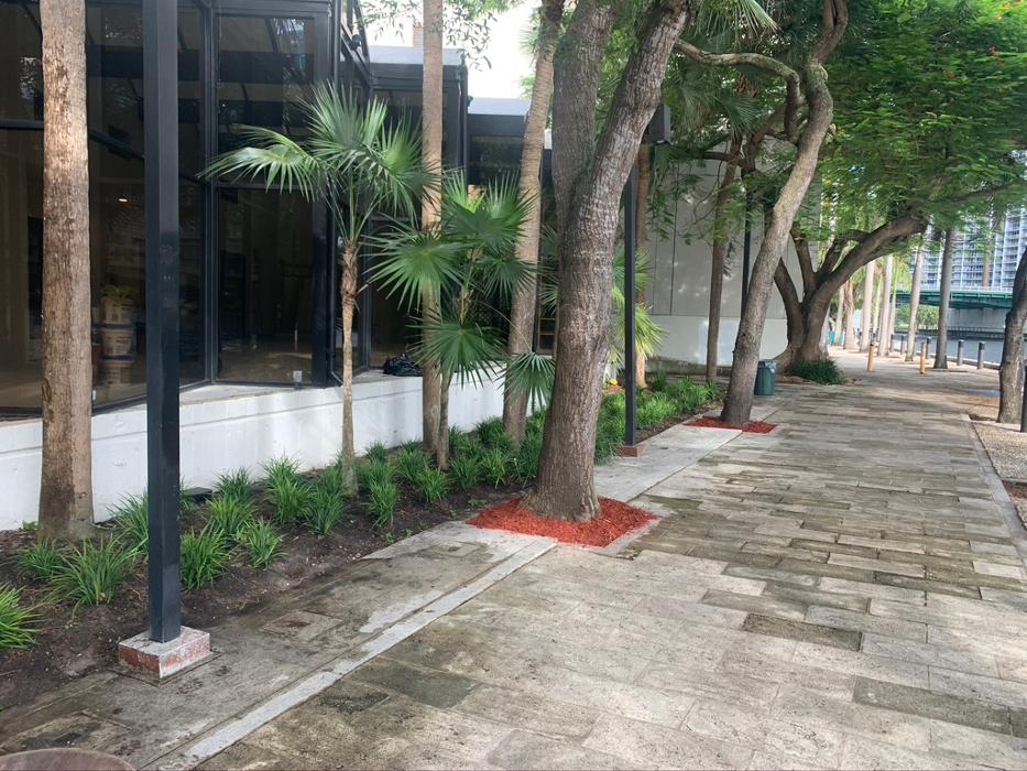 Central Lawn Maintenance - Fort Lauderdale, FL