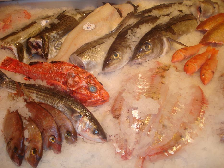 Fisch-Manufaktur Kaden, Wolkensteiner Straße in Marienberg