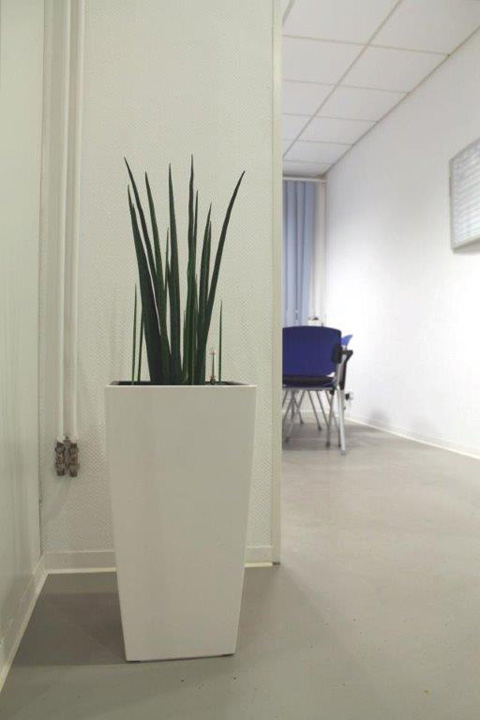 Galerie-Thumbnail