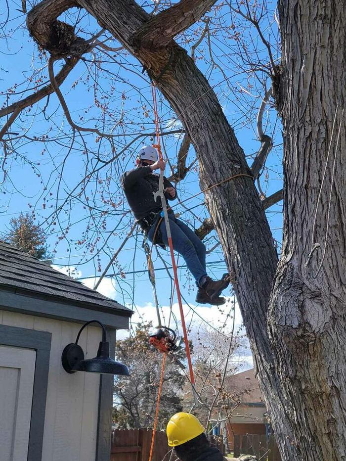 A To Z Tree Trimming & Removal - Meridian, ID