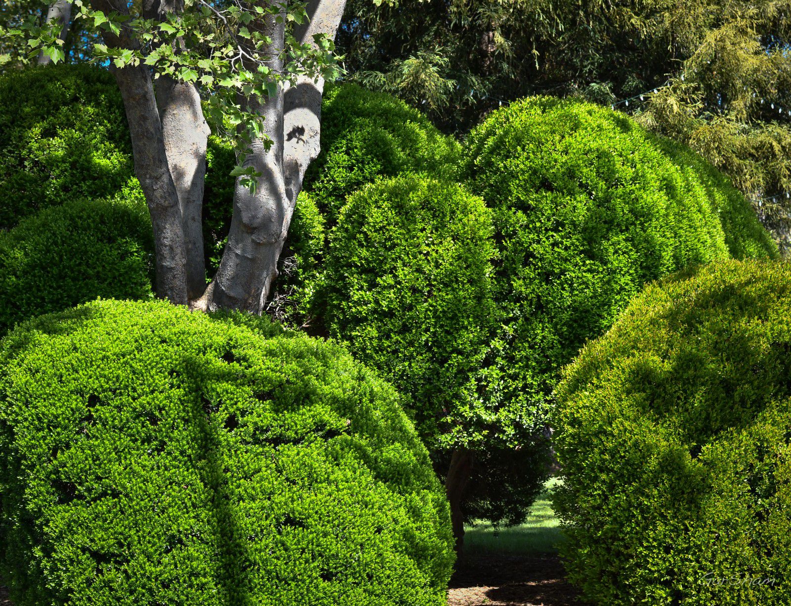 galerie image galerie image