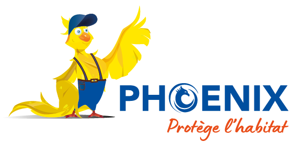 Phoenix entreprise de travaux publics
